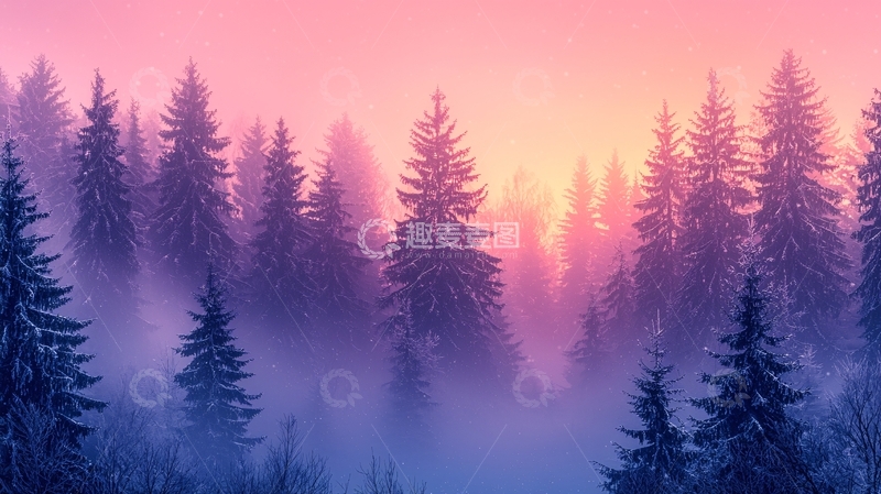高清大图下载【趣麦麦图】雾气森林日出