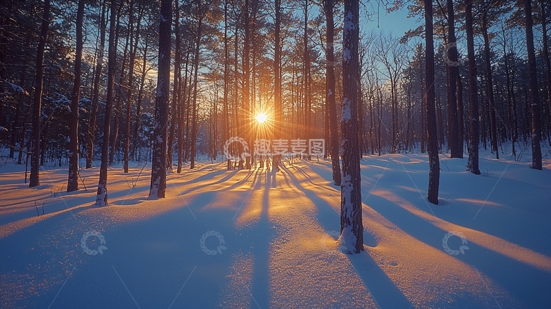 高清大图下载【趣麦麦图】冬季森林日落