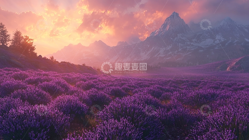 高清大图下载【趣麦麦图】日落薰衣草田园山脉