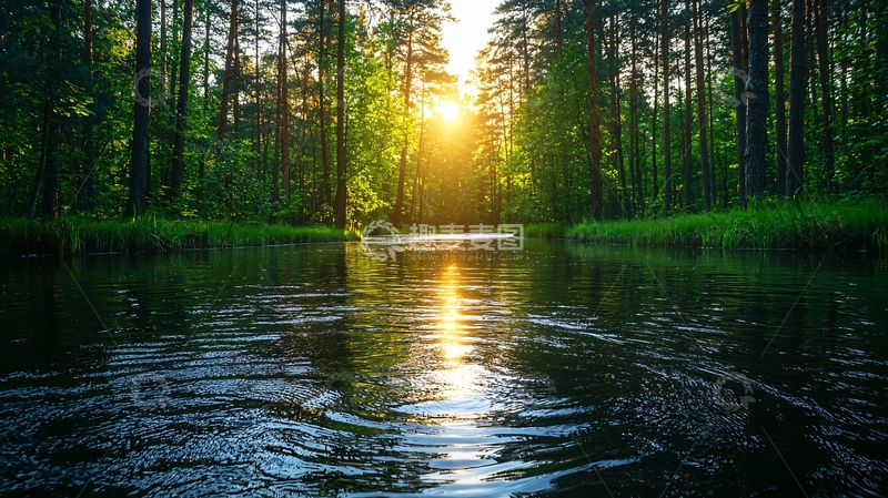 高清大图下载【趣麦麦图】森林河流夕阳