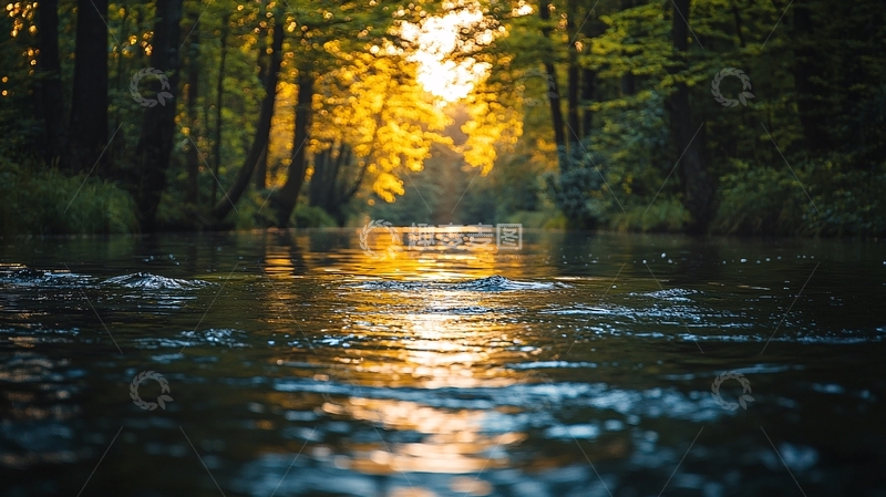 高清大图下载【趣麦麦图】森林小溪日落