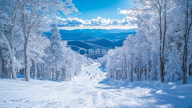 高清大图下载【趣麦麦图】雪山森林