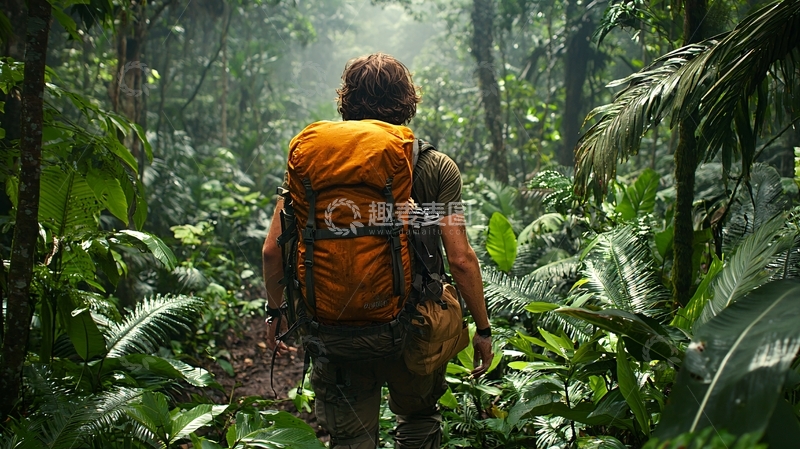 高清大图下载【趣麦麦图】丛林探险家背影