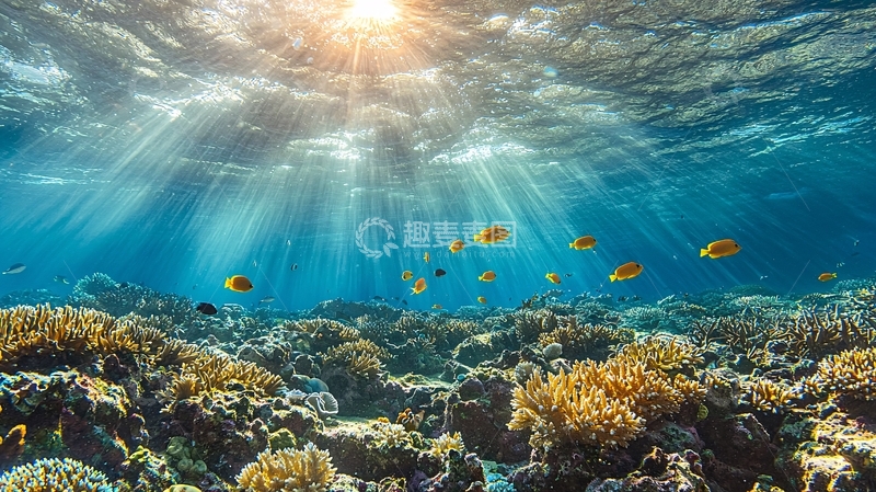 高清大图下载【趣麦麦图】阳光透过海水照射珊瑚礁