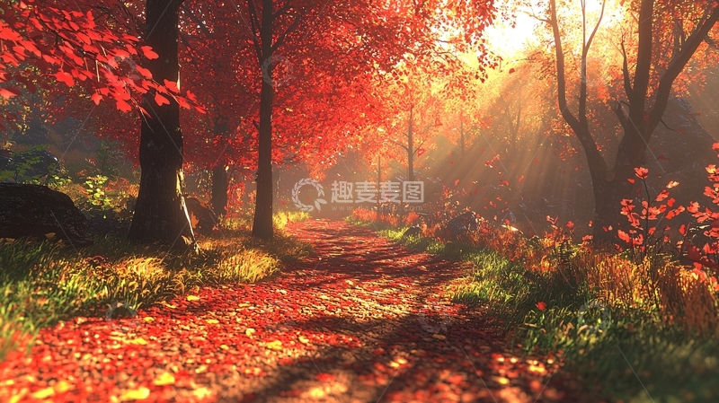 高清大图下载【趣麦麦图】秋日红叶森林小路