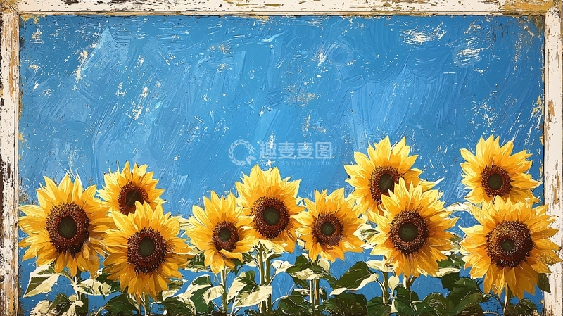 高清大图下载【趣麦麦图】向日葵 11