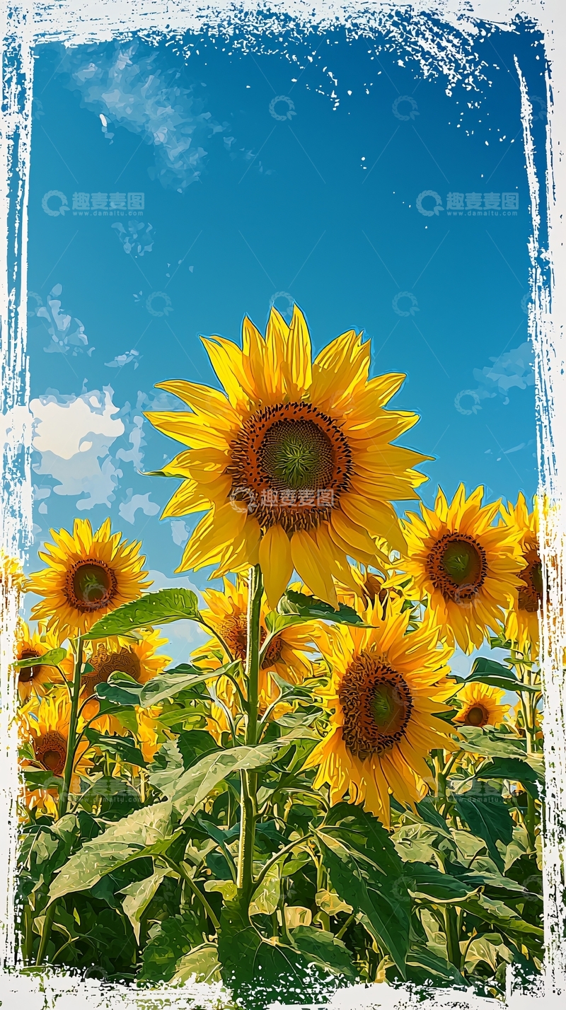 高清大图下载【趣麦麦图】向日葵田园风景
