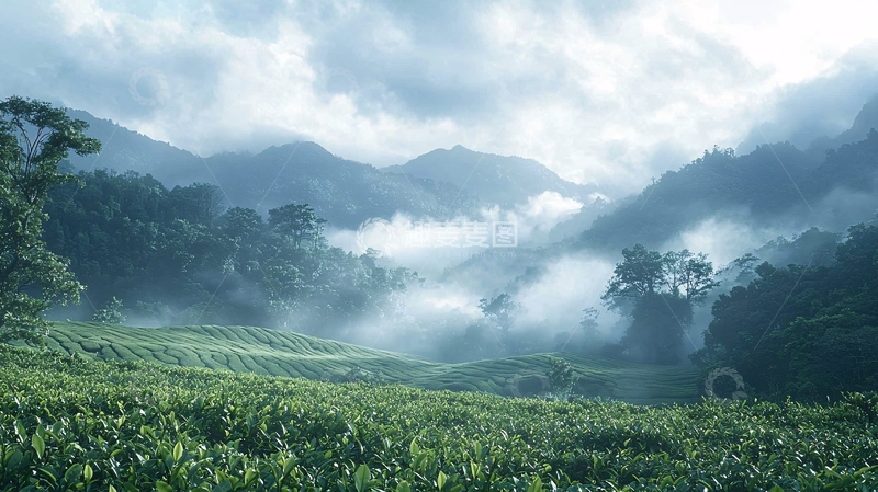 高清大图下载【趣麦麦图】雾气缭绕的山谷田园
