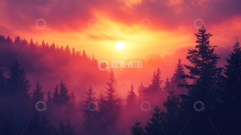 高清大图下载【趣麦麦图】日出山峰雾气森林
