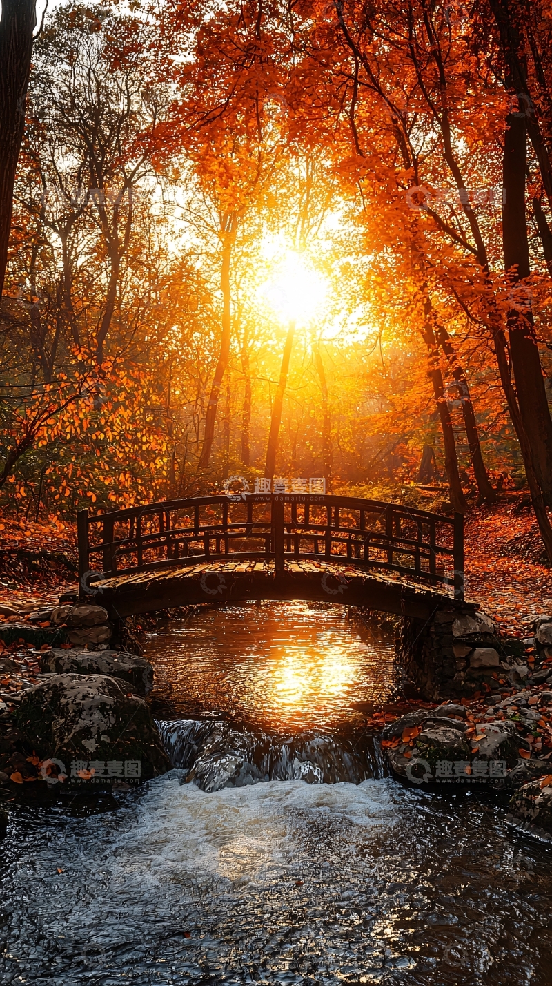 高清大图下载【趣麦麦图】秋日森林小桥流水