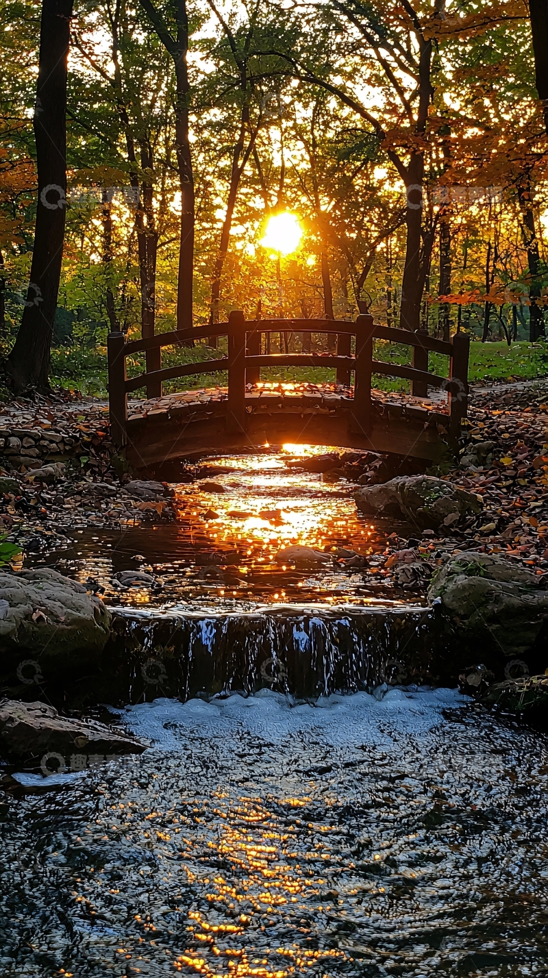 高清大图下载【趣麦麦图】秋日森林小桥流水夕阳