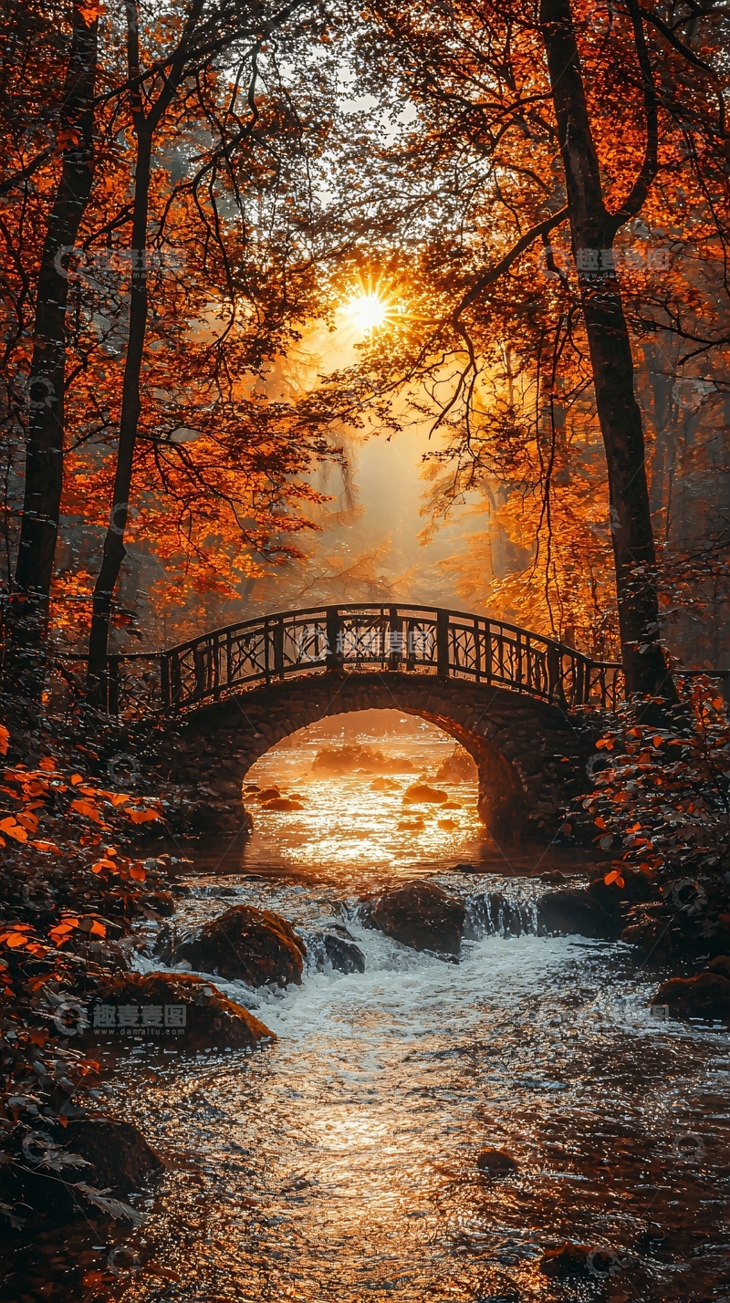 高清大图下载【趣麦麦图】秋日森林小桥流水