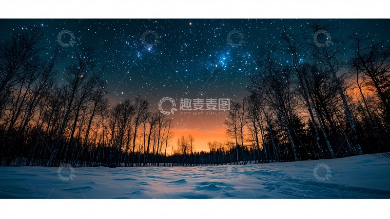 高清大图下载【趣麦麦图】星空下的雪地森林