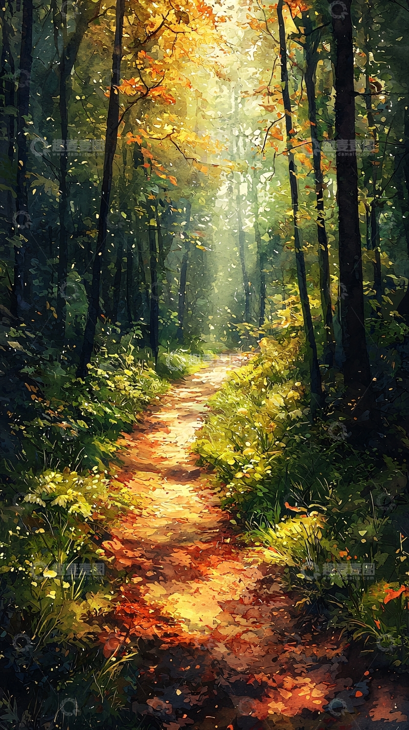 高清大图下载【趣麦麦图】秋日阳光下的森林小路