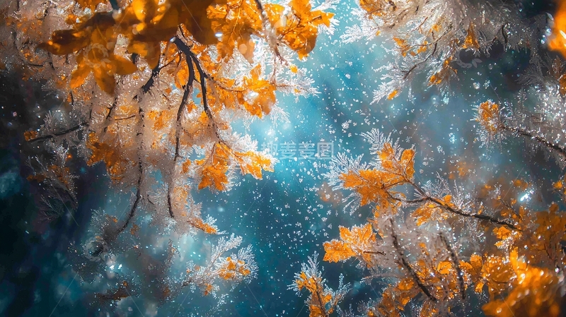 高清大图下载【趣麦麦图】海底森林