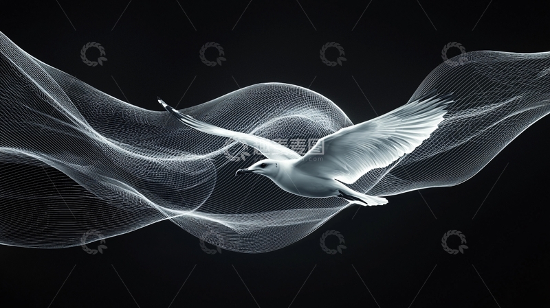 高清大图下载【趣麦麦图】黑白色系飞鸟意境图