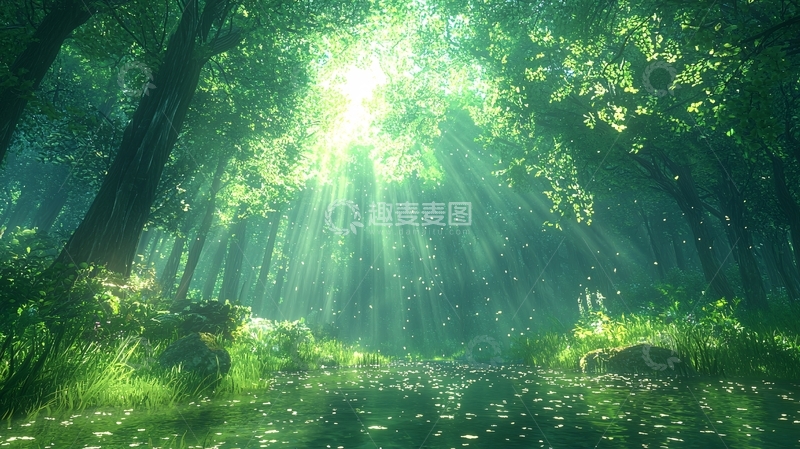 高清大图下载【趣麦麦图】阳光森林