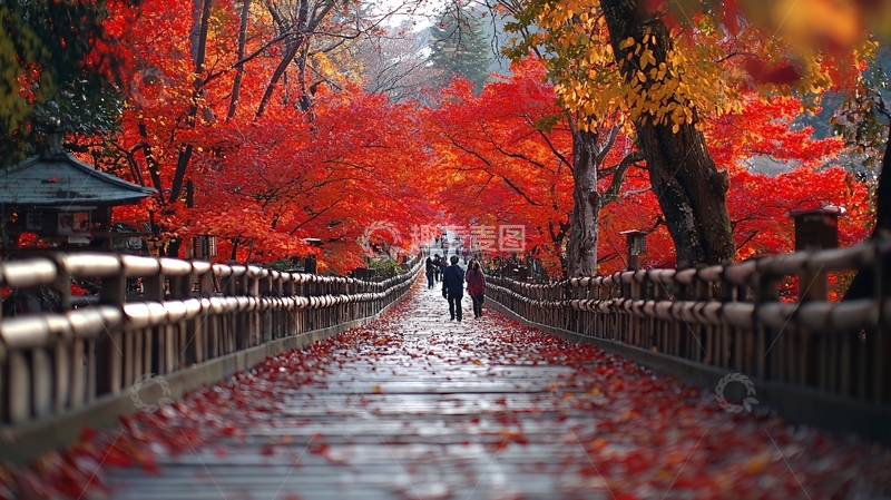 高清大图下载【趣麦麦图】红叶铺满地的秋日小路
