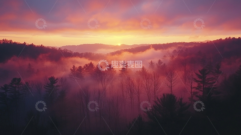 高清大图下载【趣麦麦图】雾气森林日出
