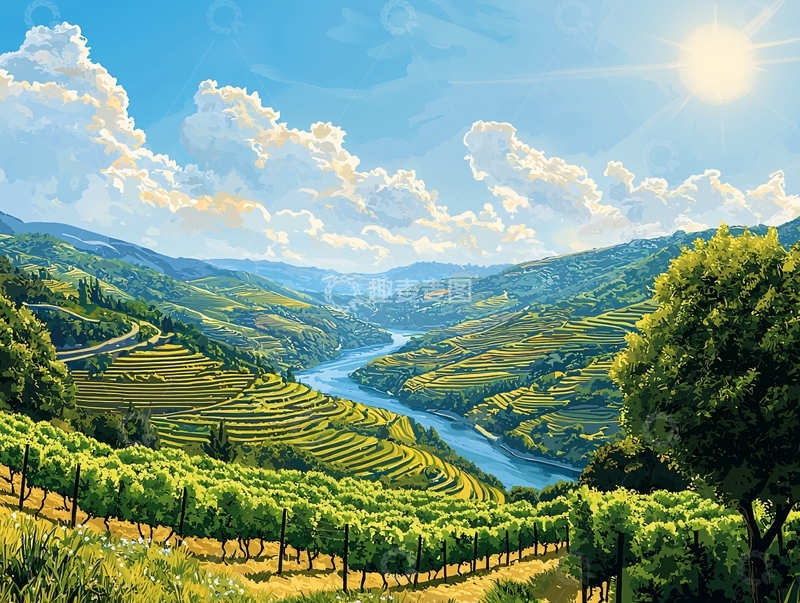 高清大图下载【趣麦麦图】阳光明媚的葡萄园河谷