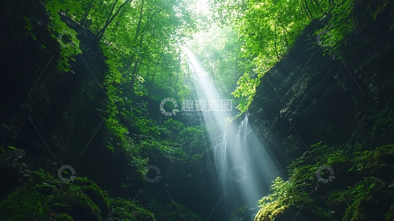 高清大图下载【趣麦麦图】阳光森林瀑布