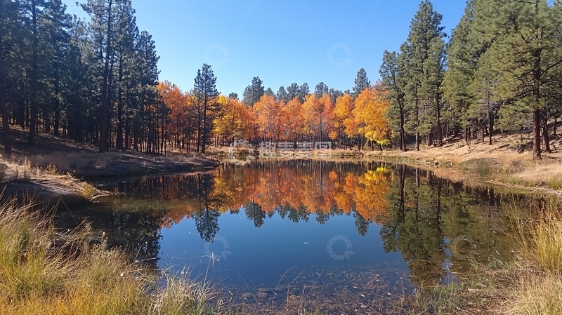 高清大图下载【趣麦麦图】秋日森林湖泊倒影
