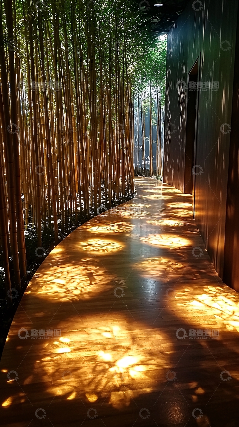 高清大图下载【趣麦麦图】竹林光影下的走廊