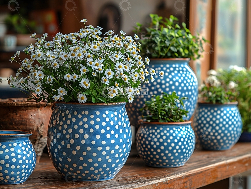 高清大图下载【趣麦麦图】白色小花蓝色波点花盆