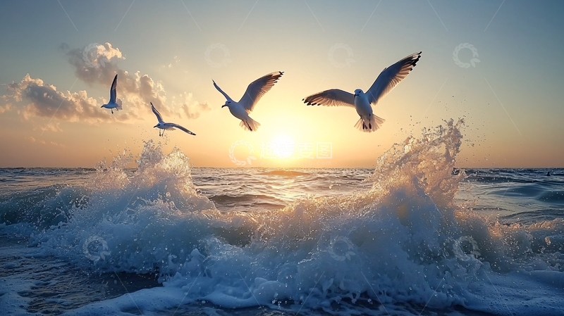 高清大图下载【趣麦麦图】海鸥飞翔在海浪上