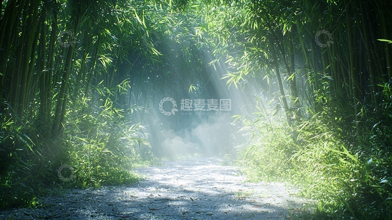 高清大图下载【趣麦麦图】阳光穿过竹林小径