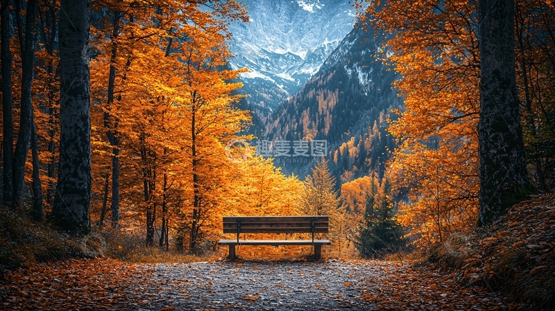 高清大图下载【趣麦麦图】秋季森林中的长椅远眺雪山