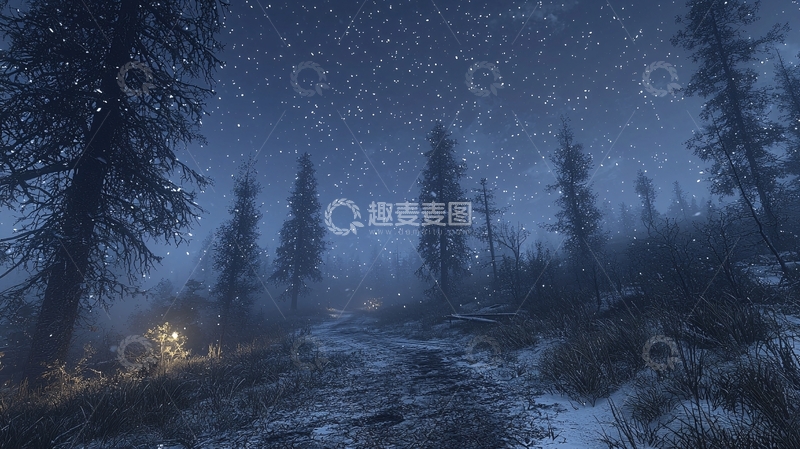 高清大图下载【趣麦麦图】雪夜森林小路场景