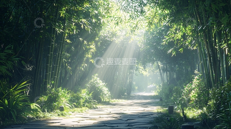 高清大图下载【趣麦麦图】阳光穿透竹林的景象