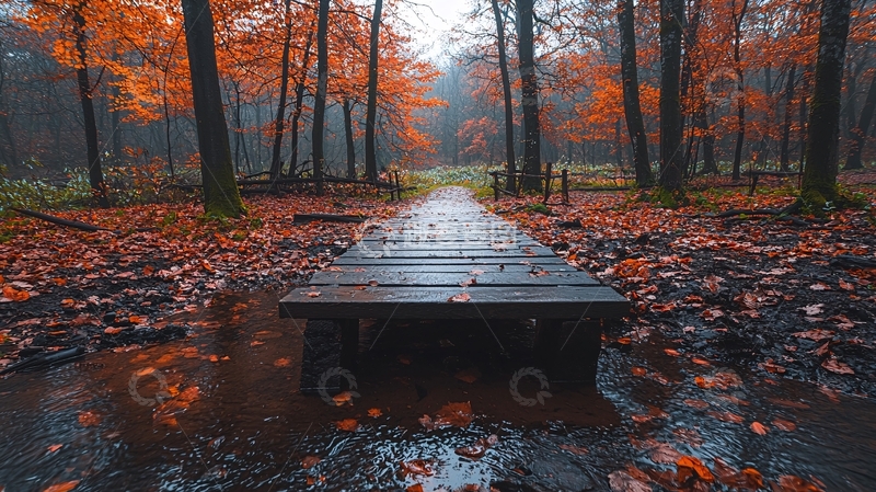 高清大图下载【趣麦麦图】秋季森林小路景色