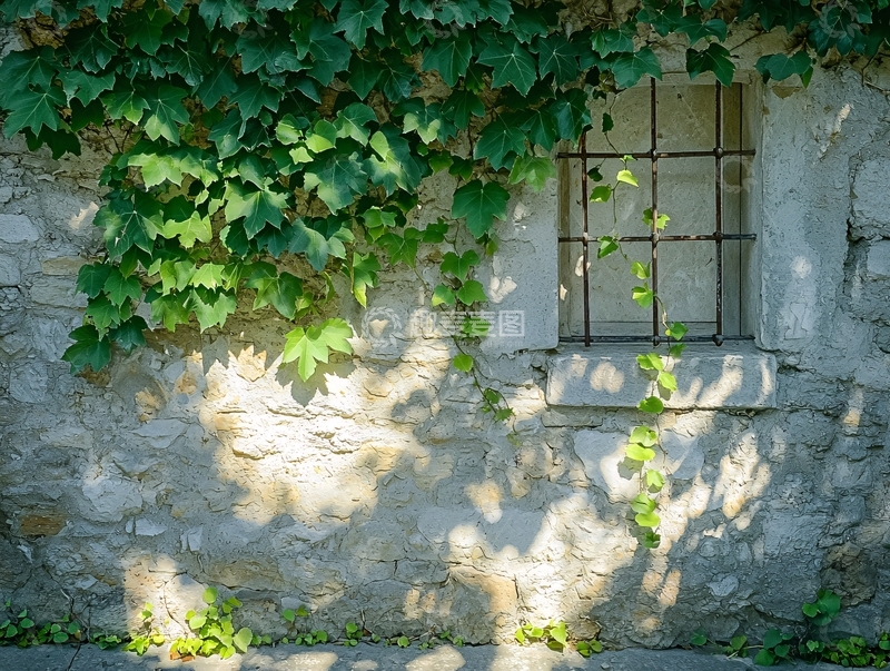 高清大图下载【趣麦麦图】石墙上的绿植窗户