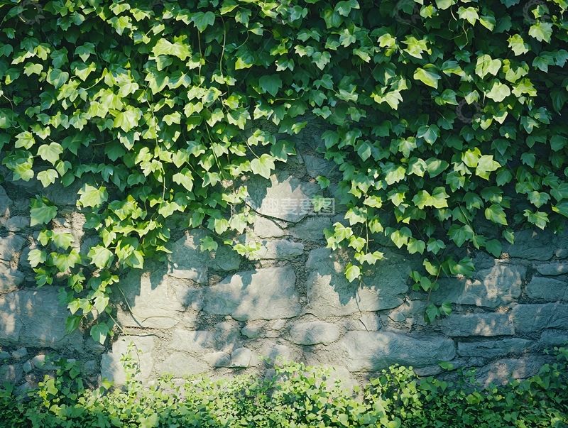 高清大图下载【趣麦麦图】绿叶覆盖的石墙