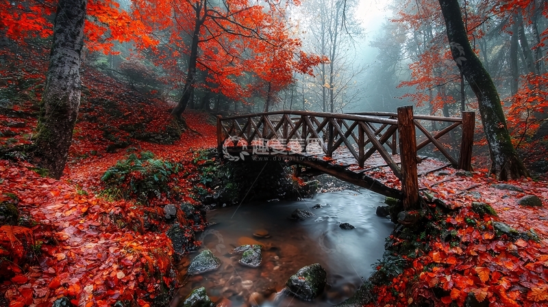 高清大图下载【趣麦麦图】秋日红叶小桥流水