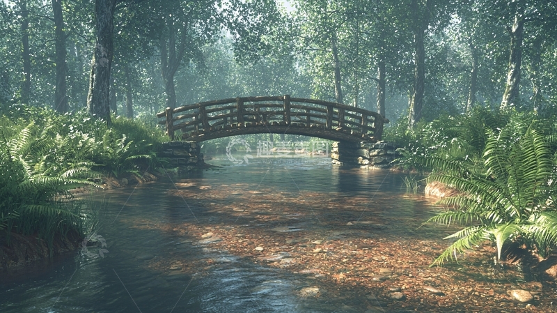 高清大图下载【趣麦麦图】绿意盎然的森林小桥