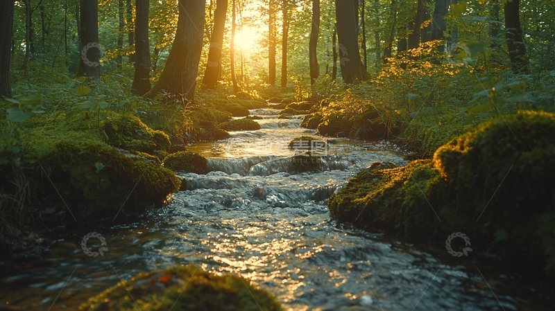 高清大图下载【趣麦麦图】森林溪流高清图片
