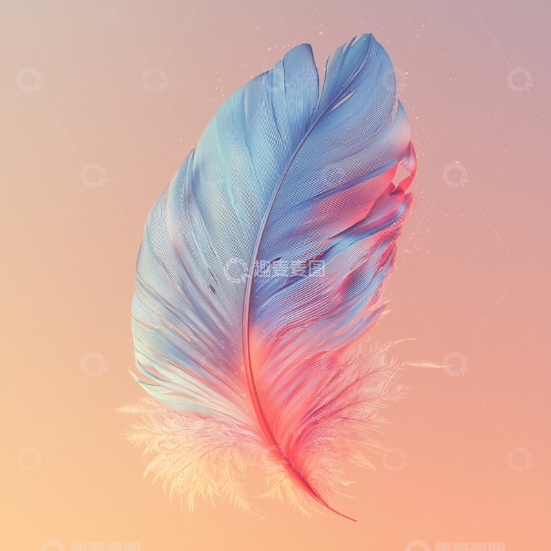高清大图下载【趣麦麦图】羽毛特写高清图片