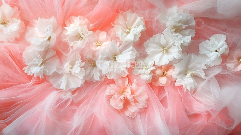 高清大图下载【趣麦麦图】桃花瓣花瓣背