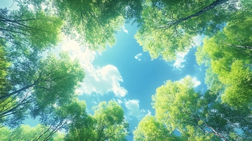 蓝天白云竹林吊顶