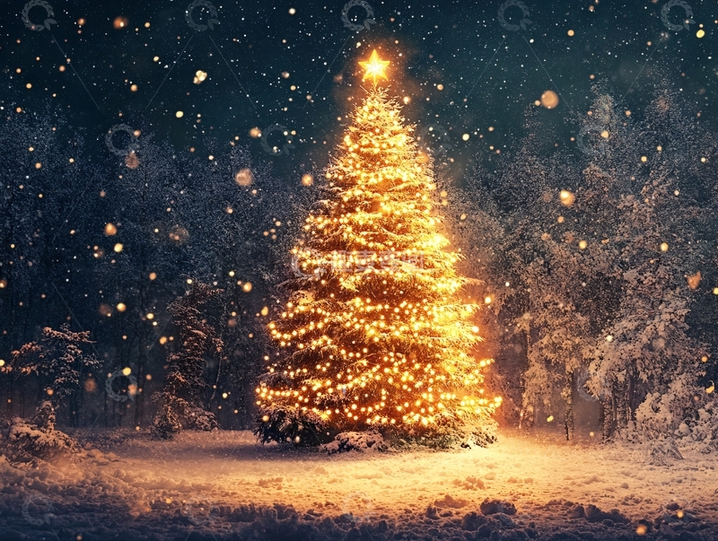 高清大图下载【趣麦麦图】唯美圣诞树2