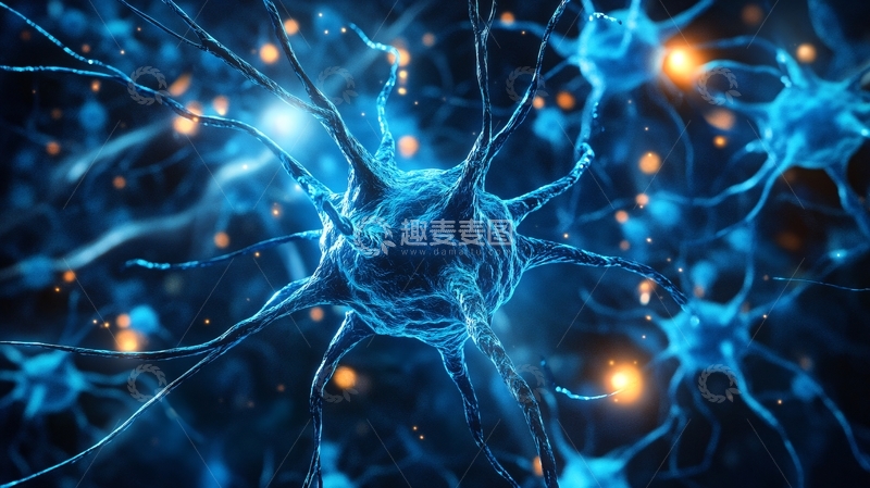 高清大图下载【趣麦麦图】神经元细胞1