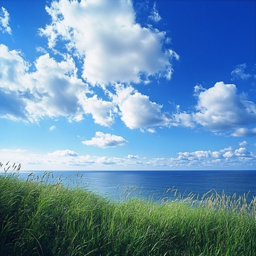 碧水蓝天碧海蓝天草丛