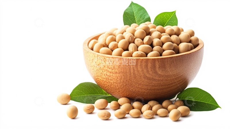高清大图下载【趣麦麦图】黄豆高清图片