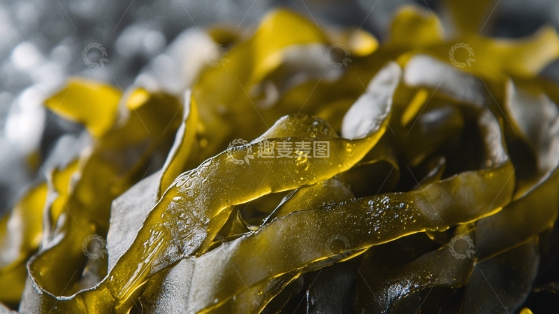 高清大图下载【趣麦麦图】海带结特写1