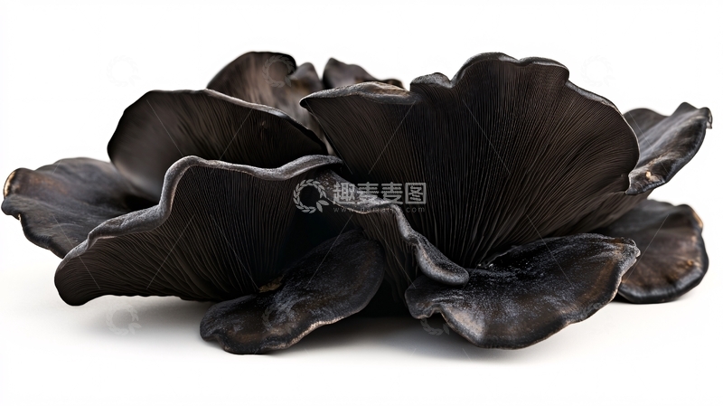 高清大图下载【趣麦麦图】木耳素材下载2