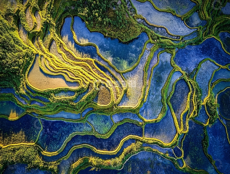 高清大图下载【趣麦麦图】蓝光梯田