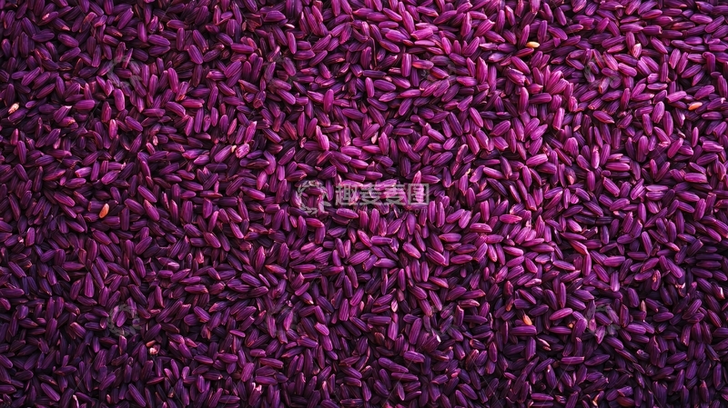 高清大图下载【趣麦麦图】紫米背景1